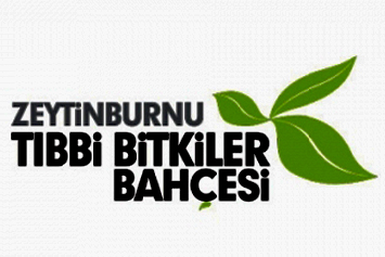 zeytinburnutibbibitkiler